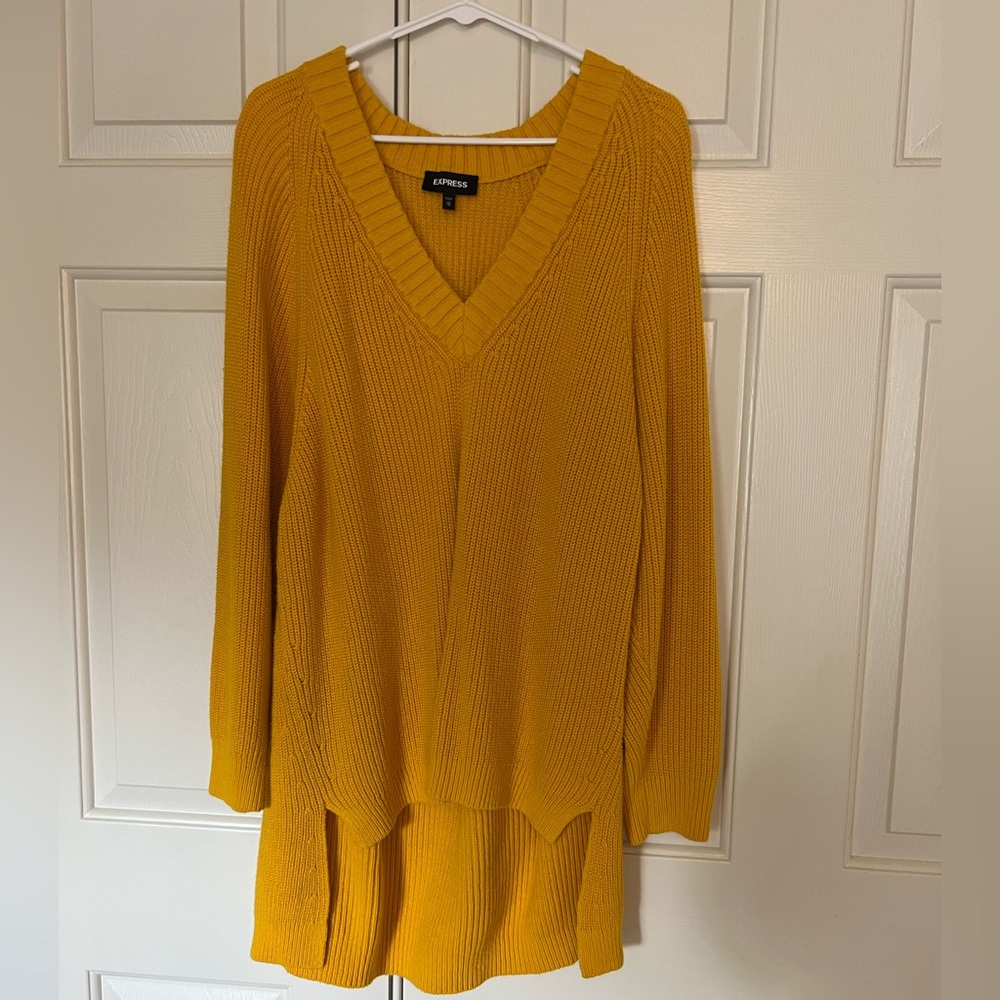 Express V Neck tunic sweater